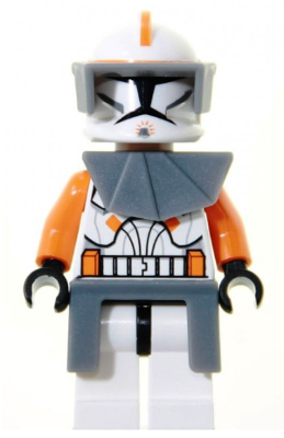 sw0196