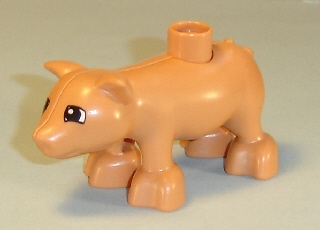 pig03pb01